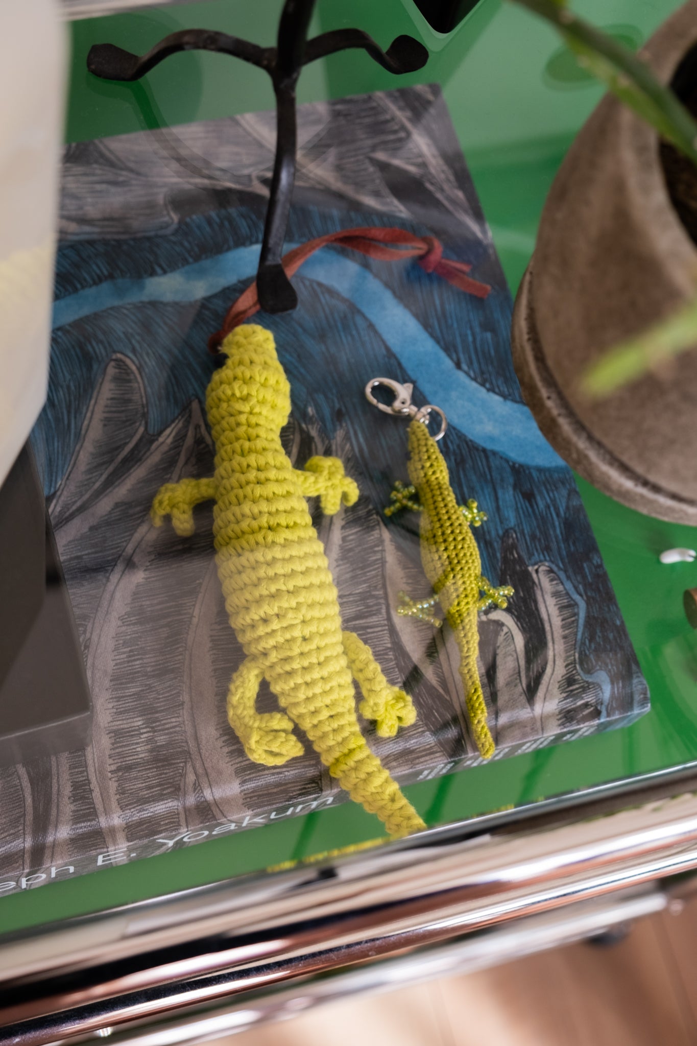 Lizard (Kids)