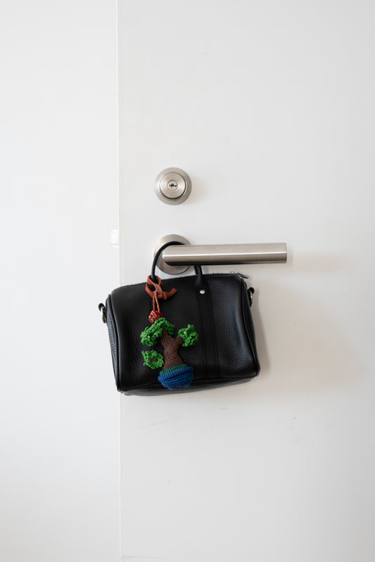 First Bonsai