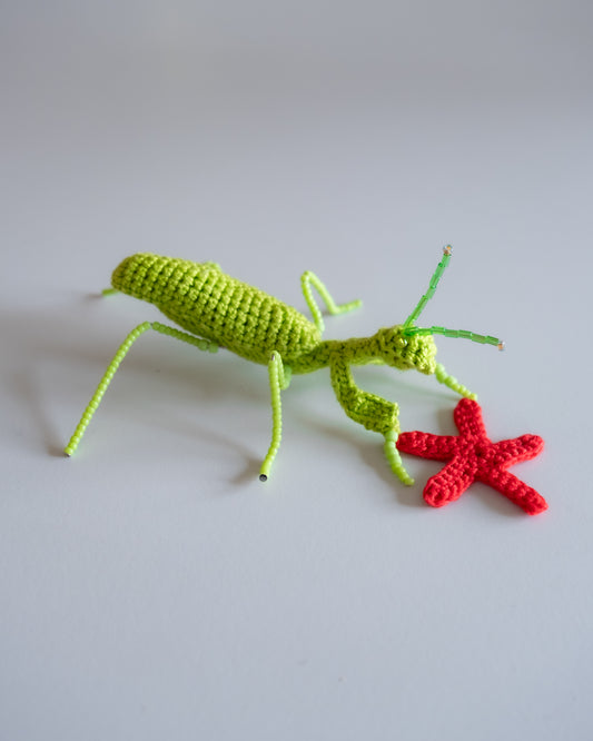 Ｍantis